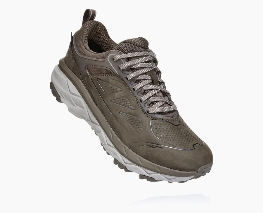 Trail Shoes Womens - Hoka One One Challenger Low GORE-TEX - Brown - YQARJIP-03